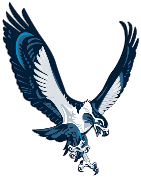 Seattle Seahawks 2002-2011 Alternate Logo t shirts iron on transfers